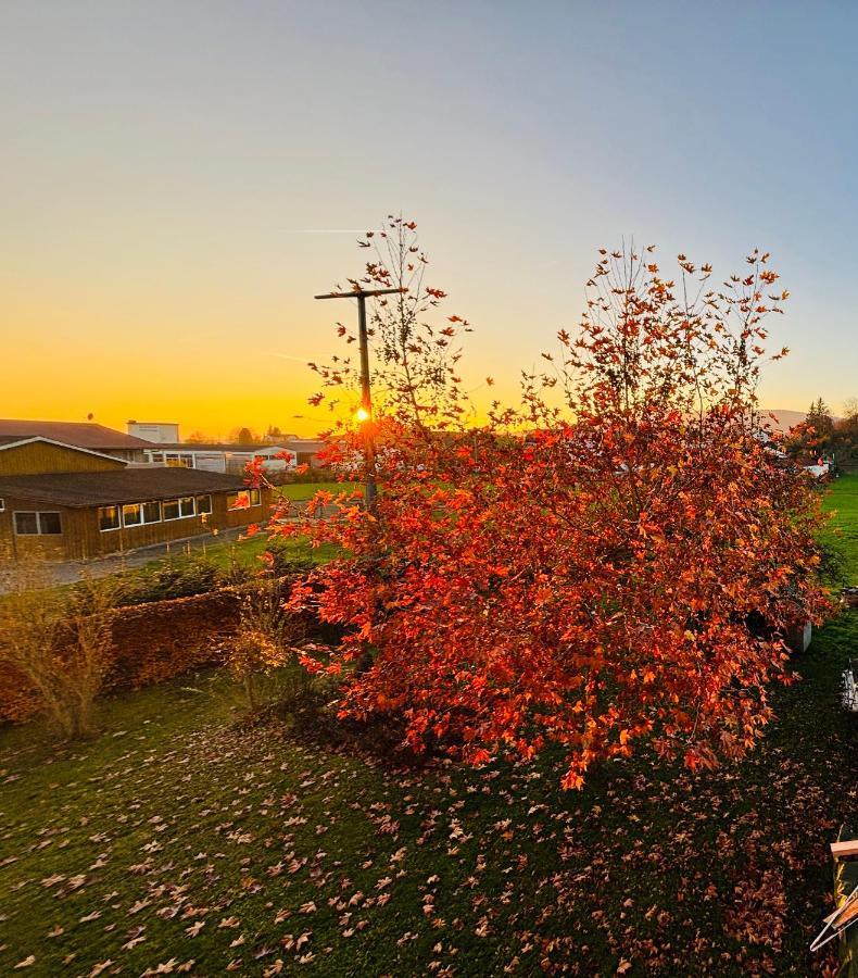 Apartament Landloft Oberteuringen Zewnętrze zdjęcie